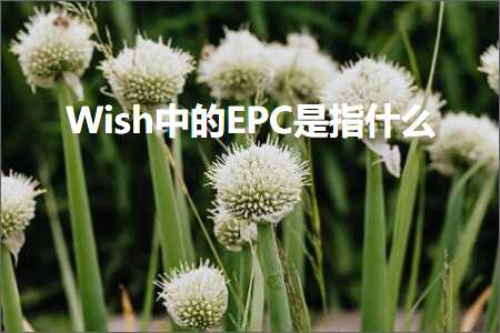 黄埔网站推广 跨境电商知识:Wish中的EPC是指什么